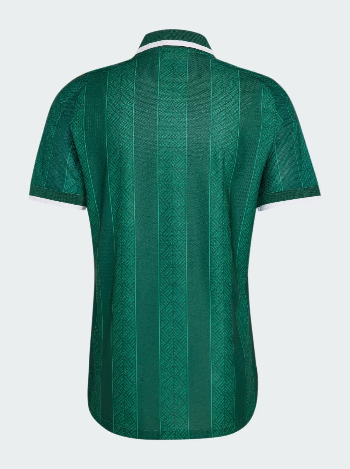 Camisa África do Sul Adidas II 2026/27